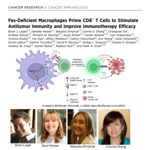 Cancer Research Publication