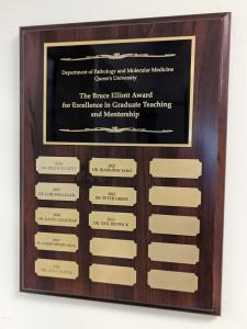 The Bruce Elliot Award 2023