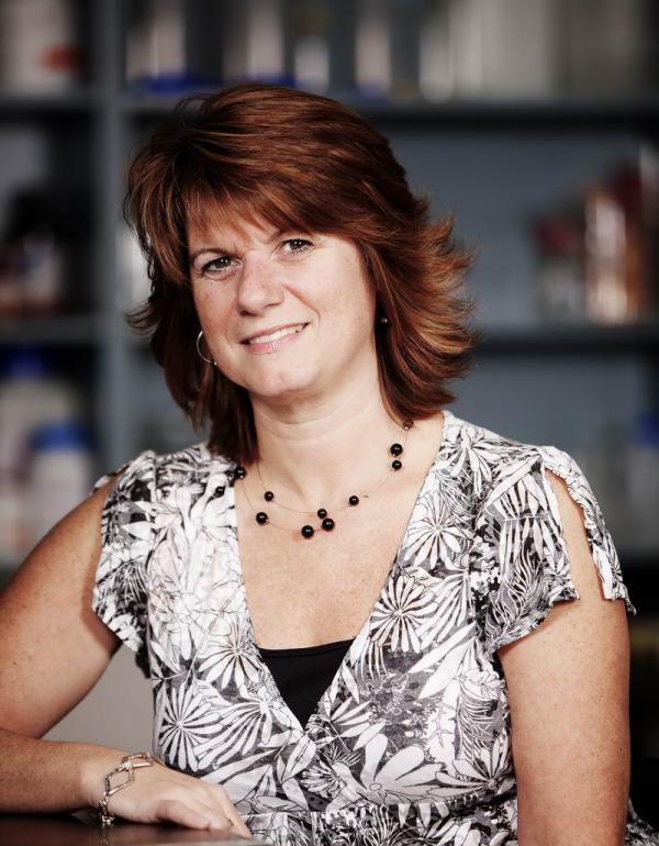   Barb Turcotte