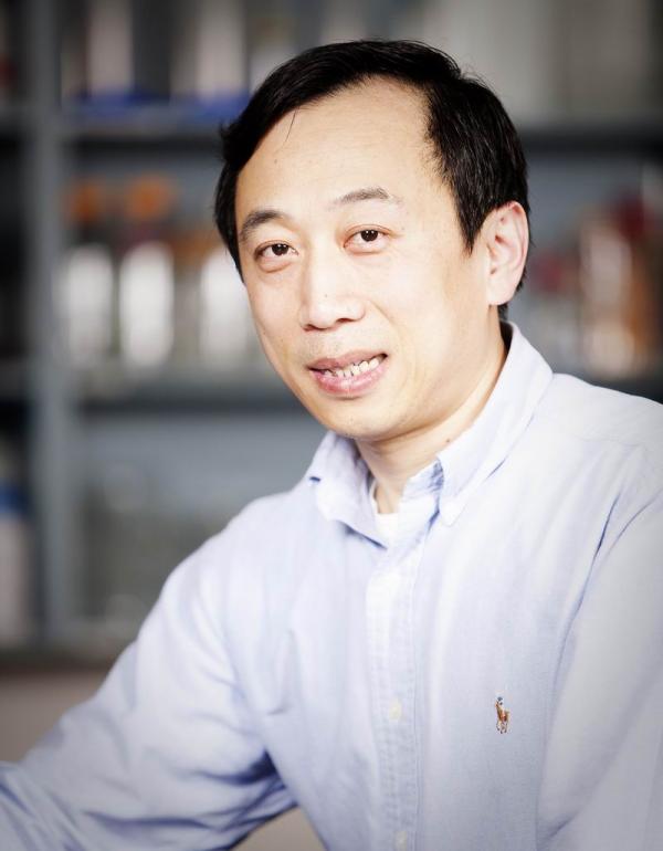   Xiaolong Yang
