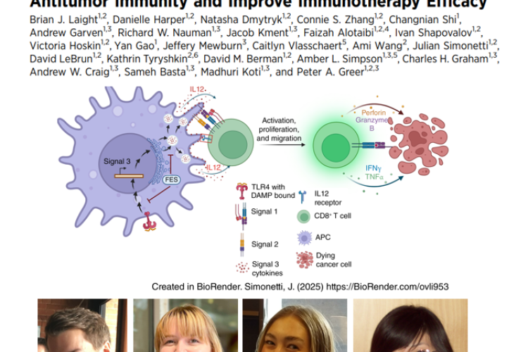 Cancer Research Publication