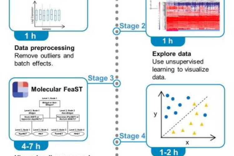 grapical abstract v11
