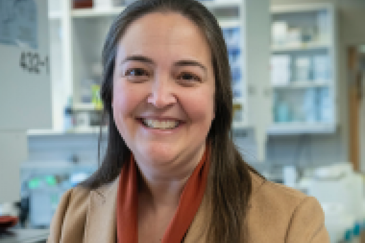 Tuesday, 25 May 2021, 4:00 pm – Via Zoom