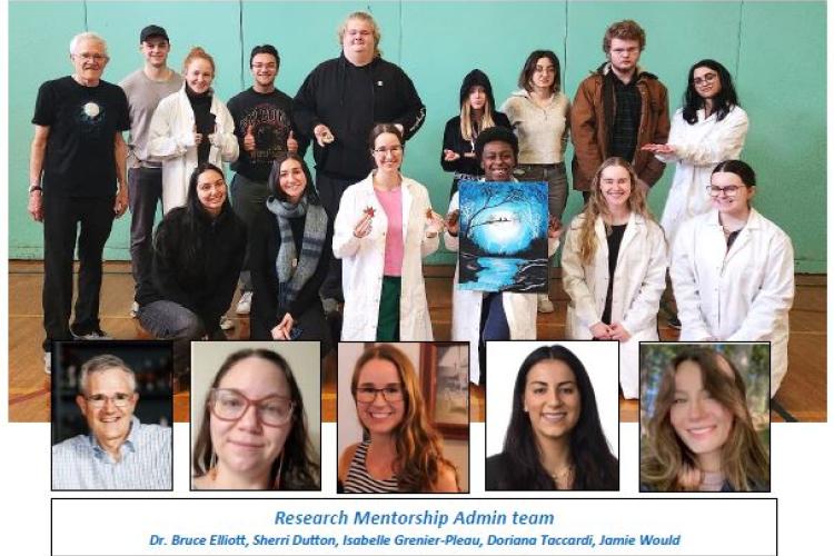 Highlights summary of our Research Mentorship Program 2024